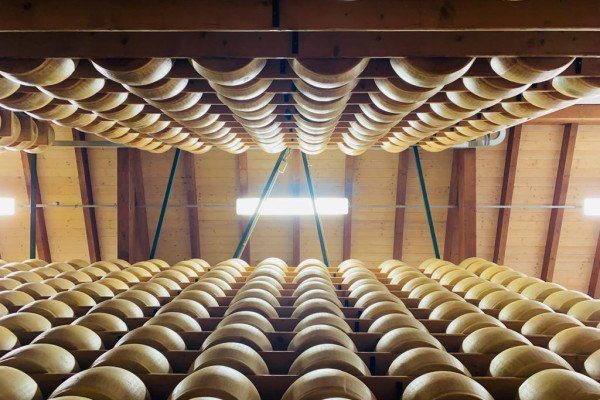 Tour Motor & Food Valley