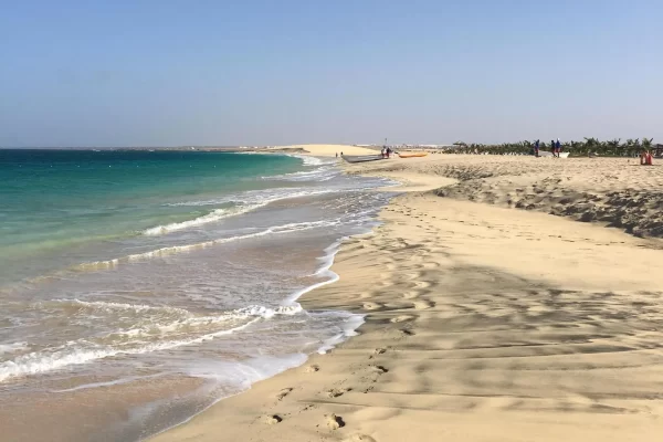 https___static.travelconline.com_imagenes_vtCB8cHX3Dht-a6l2fjarTegLAlt