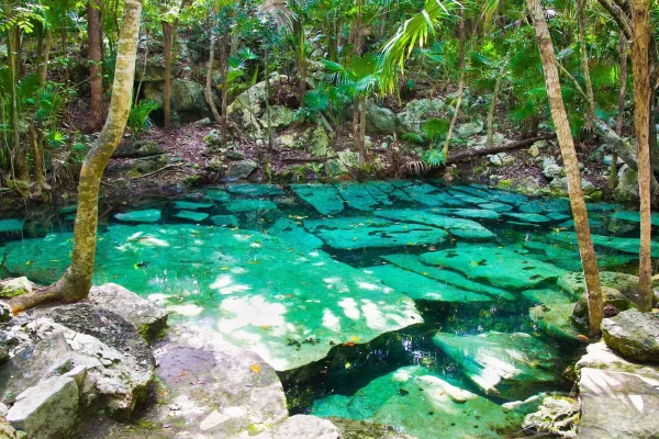 Resort Messico All Inclusive