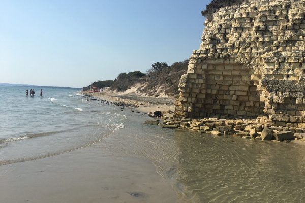 Viaggi in Puglia Bravo Alimini
