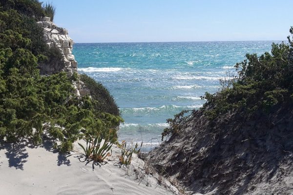 Viaggi in Puglia Bravo Alimini