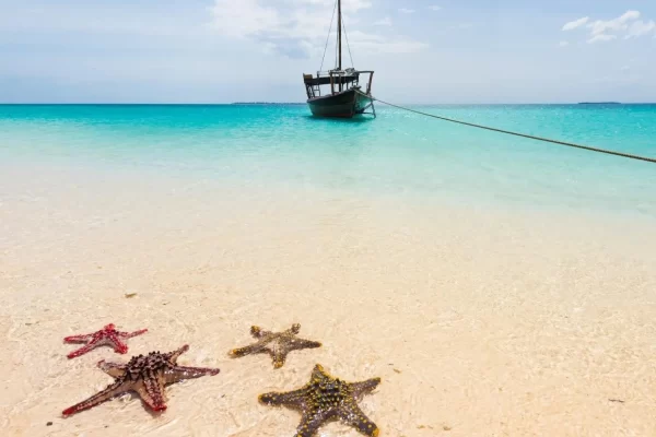 Vacanza organizzata Zanzibar Dongwe